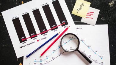 beginner stock investment guide