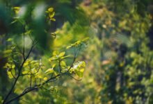 energy stocks expected rise