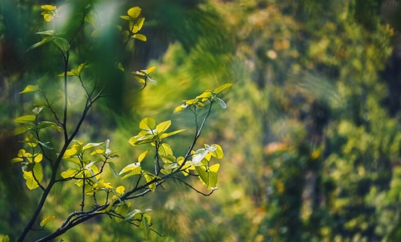 energy stocks expected rise