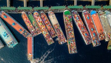 pokemon fire red market recovery