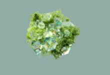 renewable energy stock outlook