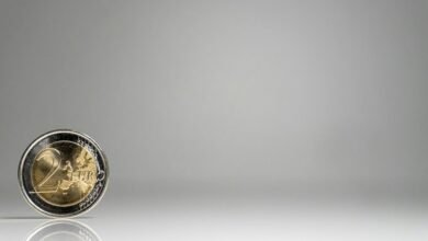 steady income investment options