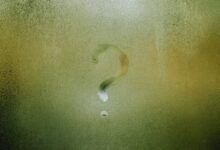 fetlife s name significance explored