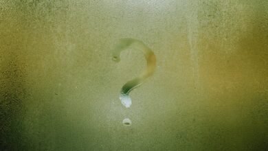 fetlife s name significance explored