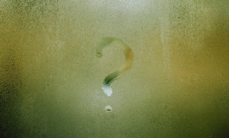 fetlife s name significance explored