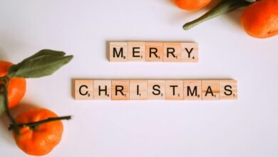 free blox fruit account