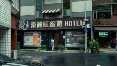 harem hotel cheat codes