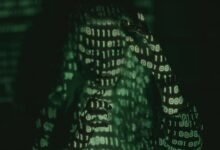 harem hotel information guide