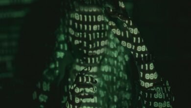 harem hotel information guide