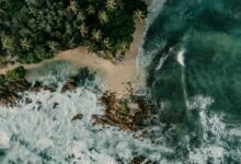 harem hotel secrets uncovered