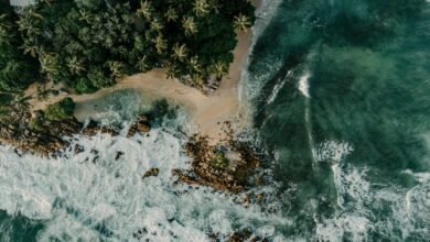 harem hotel secrets uncovered