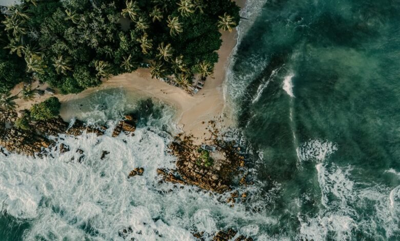 harem hotel secrets uncovered