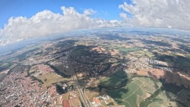 sector development numbers listed